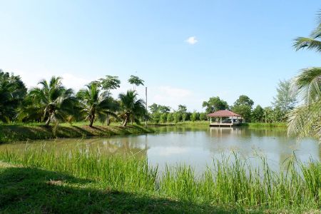 ขายที่ดินนครศรีธรรมราช : ขาย เช่า ที่ดิน ทำเลดี ใกล้เมือง ใกล้แหล่งเศรษฐกิจ ที่ดิน 18 ไร่ 2 งาน 48.2 ตร.วา ผังสีเหลืองทำหมู่บ้านจัดสรรได้ หรือต้องการที่แปลงใหญ่ใกล้เมือง