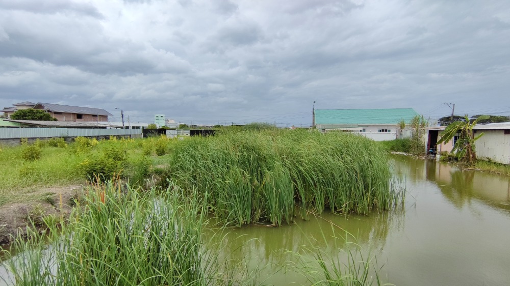 ขายที่ดินอ่อนนุช อุดมสุข : ขาย ที่ดิน 180 ตร.วา (ยังไม่ถม) ซอยพัฒนาการ 96 เข้าจากถนนพัฒนาการเพียง 350 เมตร