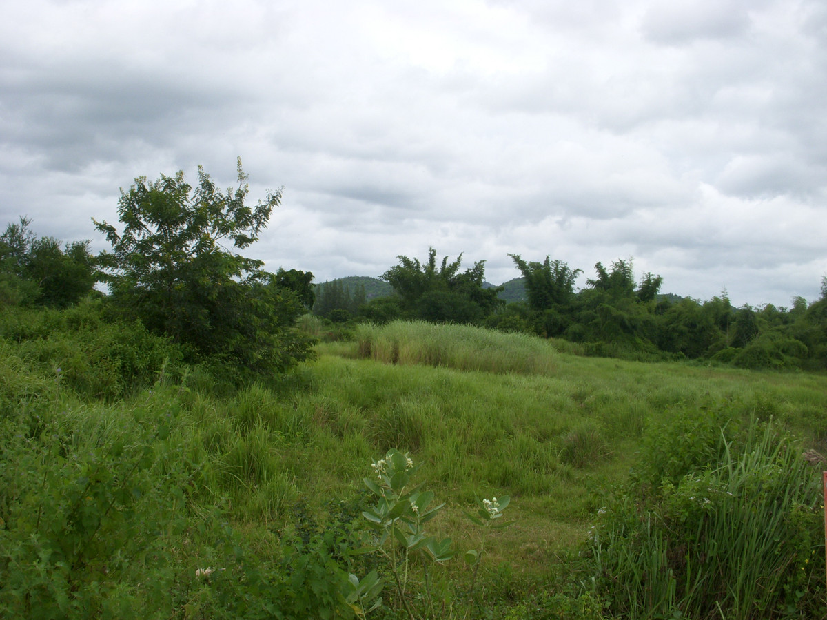 For RentLandHuahin, Prachuap Khiri Khan, Pran Buri : Mountain View Land for rent 57 rai Petchkasem road frontage   150 m.