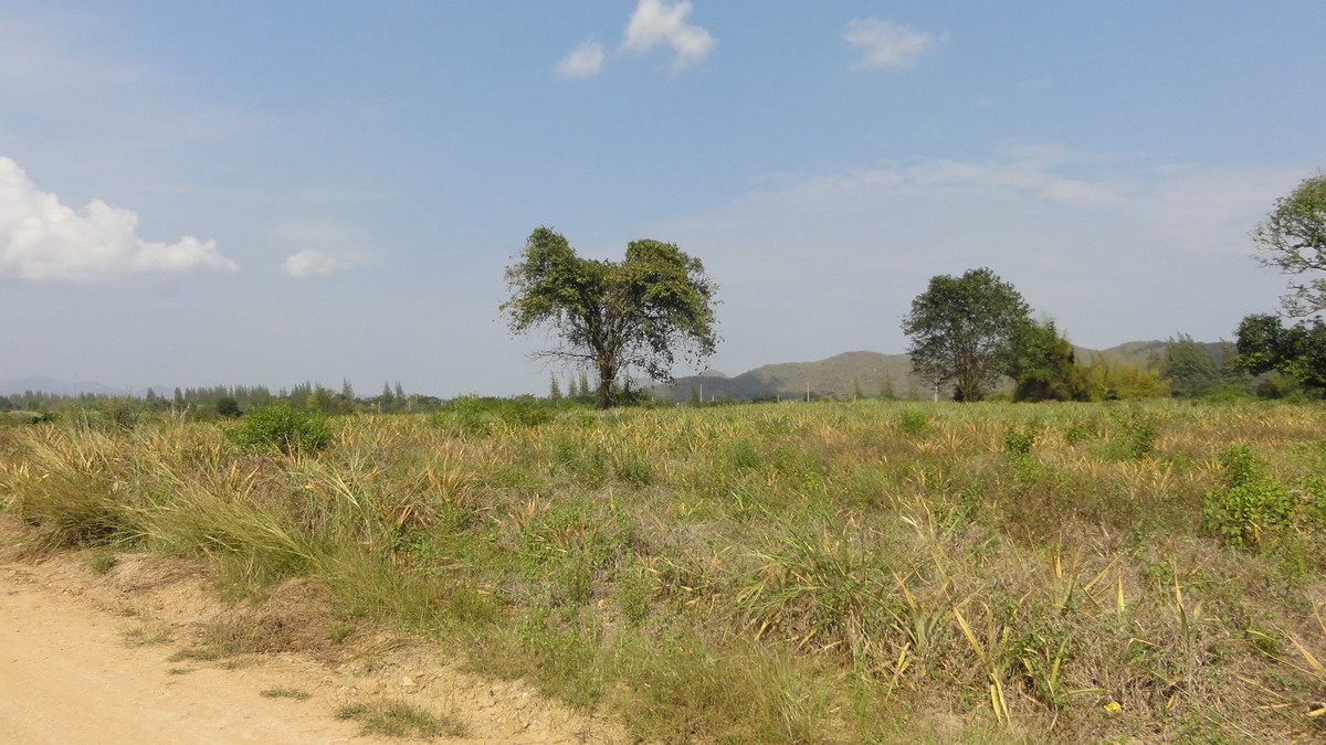 For RentLandHuahin, Prachuap Khiri Khan, Pran Buri : Mountain View Land for rent 57 rai Petchkasem road frontage   150 m.