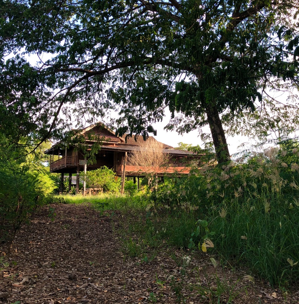 ให้เช่าบ้านพุทธมณฑล ศาลายา : ที่ดินปล่อยเช่า 1 ไร่ ราคาพิเศษสุดๆ อ.ดอนตูม นครปฐม เหมาะทำการเกษตร หรือที่จอดรถ