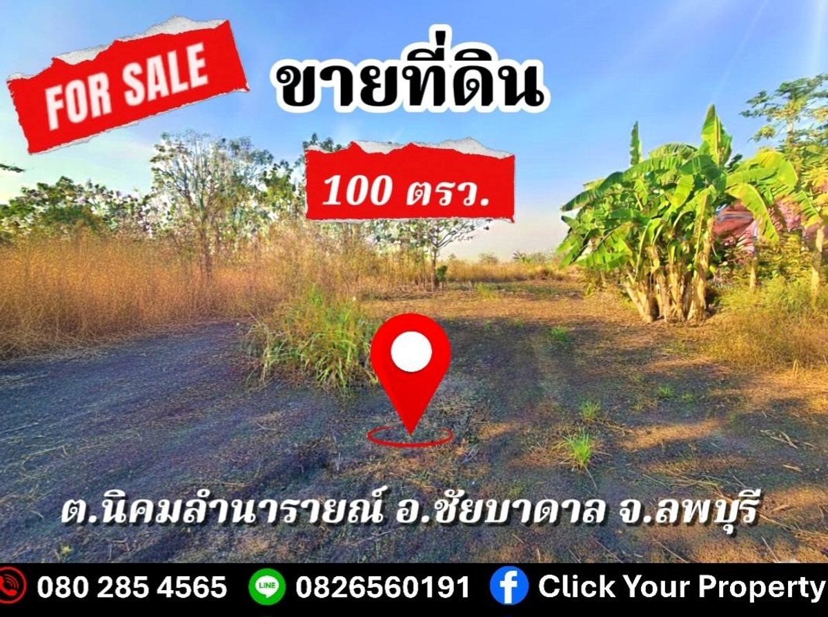 ขายที่ดินลพบุรี : ขาย ที่ดิน จัดสรร ชัยบาดาล ลพบุรี 100 ตร.วา ที่ดินแปลงสวย Land for SALE in Lopburi