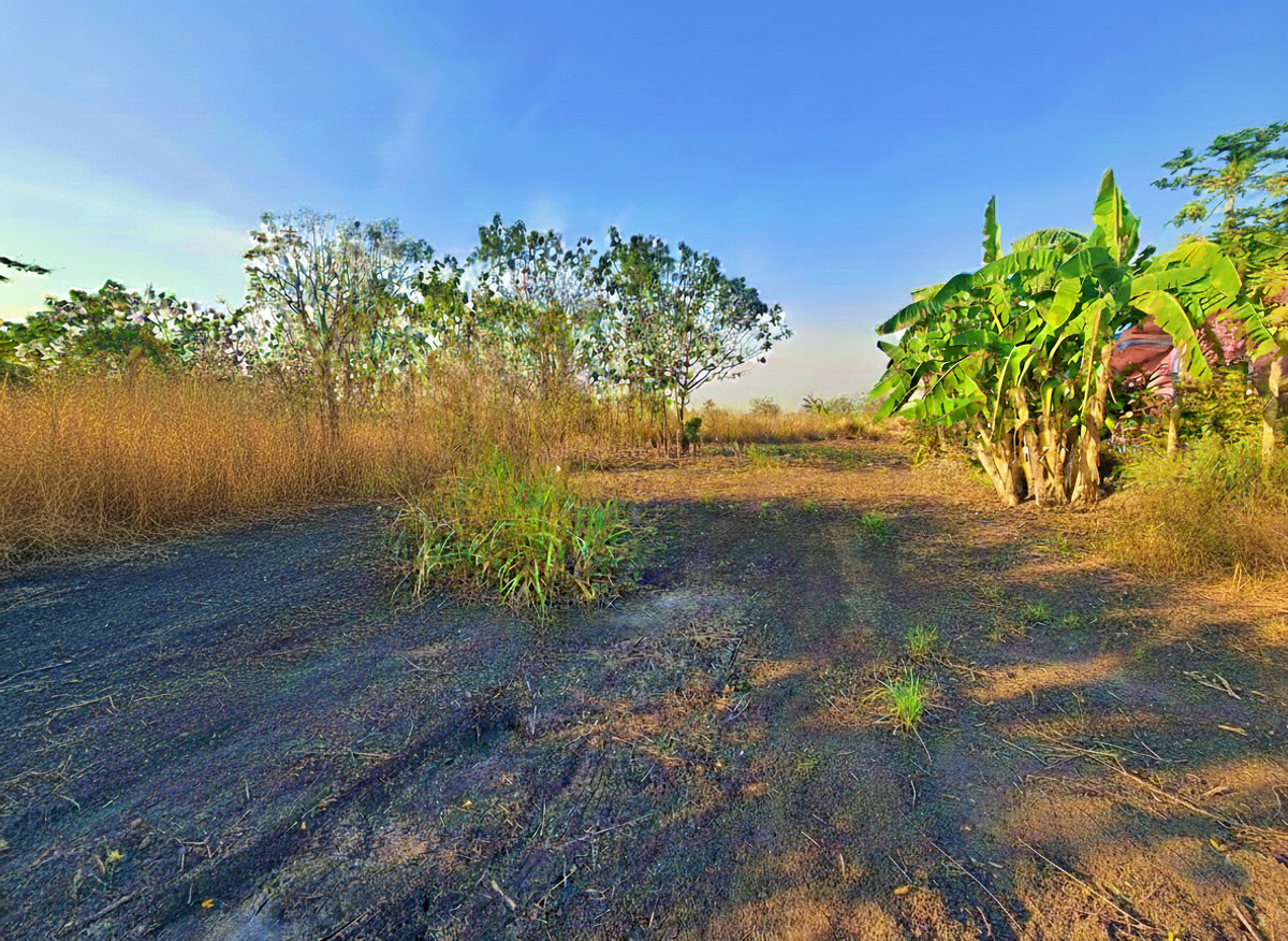 For SaleLandLop Buri : Land 100 sqw. for SALE  in A.Chaibadan, Lopburi Province