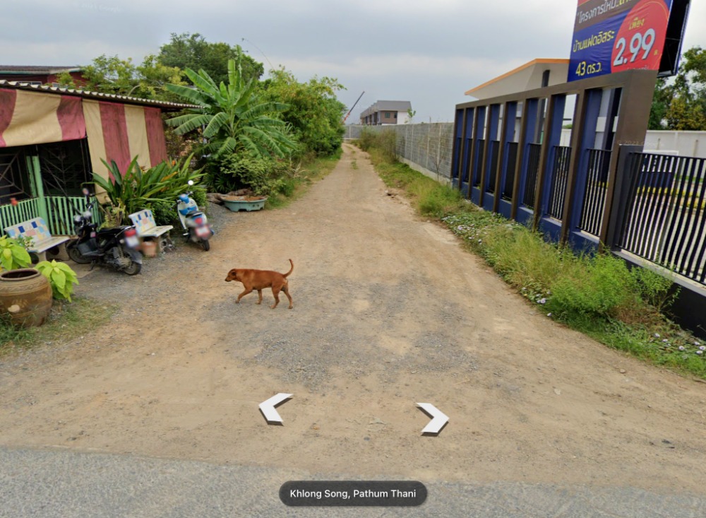 ขายที่ดินปทุมธานี รังสิต ธรรมศาสตร์ : ขาย ที่ดิน คลอง 2 ปทุมธานี 6 ไร่ ถมแล้ว ใกล้หมู่บ้านจัดสรร ห่าง ถ.รังสิต-นครนายก เพียง 6 กม.