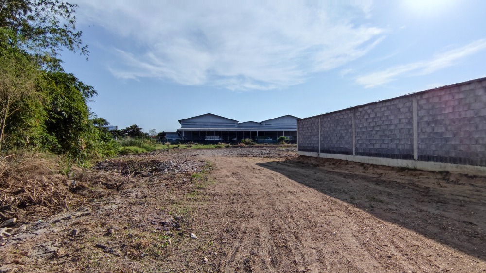 ขายที่ดินปทุมธานี รังสิต ธรรมศาสตร์ : ขาย ที่ดิน คลอง 2 ปทุมธานี 6 ไร่ ถมแล้ว ใกล้หมู่บ้านจัดสรร ห่าง ถ.รังสิต-นครนายก เพียง 6 กม.