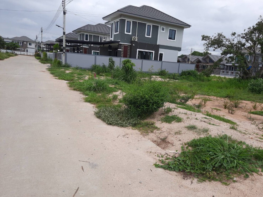 For SaleLandPattaya, Bangsaen, Chonburi : Land for sale 129 square meters, Soi Thep Nimit.