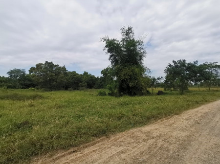 For SaleLandNawamin, Ramindra : Land for sale, Soi Ban Chado 3, Khlong Sam Wa, Min Buri, 4 rai 3 ngan 54 sq.wa. Suitable for warehouses, farms, residences