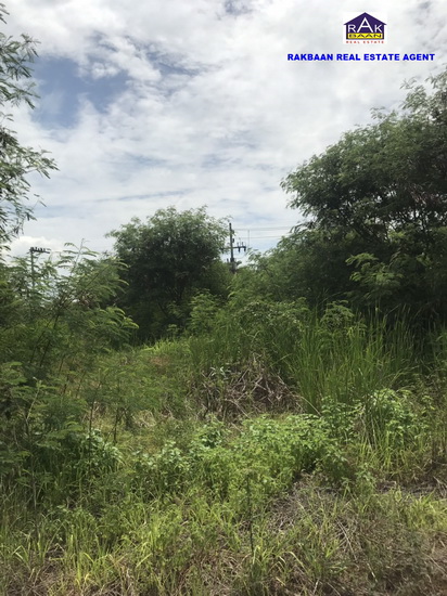 For SaleLandMahachai Samut Sakhon : Land reclamation land for sale, Soi Sukhonthawit 25, Tha Sao, Krathum Baen District, Samut Sakhon, area 2 rai 2 ngan, corner plot, reclamation higher than the road, width 30 meters, beautiful.