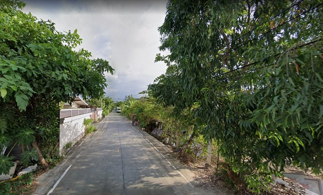 For SaleLandPathum Thani,Rangsit, Thammasat : Land for sale 200 sq.wa. in Rangsit area, Pathum Thani area, near Krung Siam St. Carlos Hospital. Poonsap Market