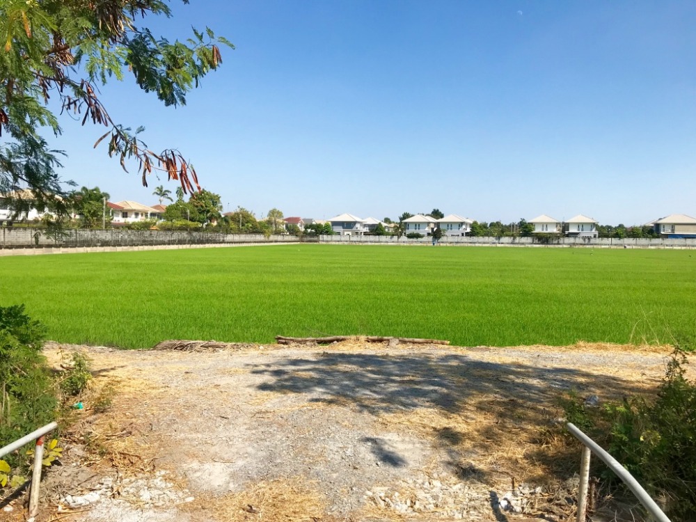 For SaleLandNonthaburi, Bang Yai, Bangbuathong : Land in the area of Wat Lat Pla Duk, 20 rai, beautiful plot shape, is a trapezoid. Surrounding is an allotted village.