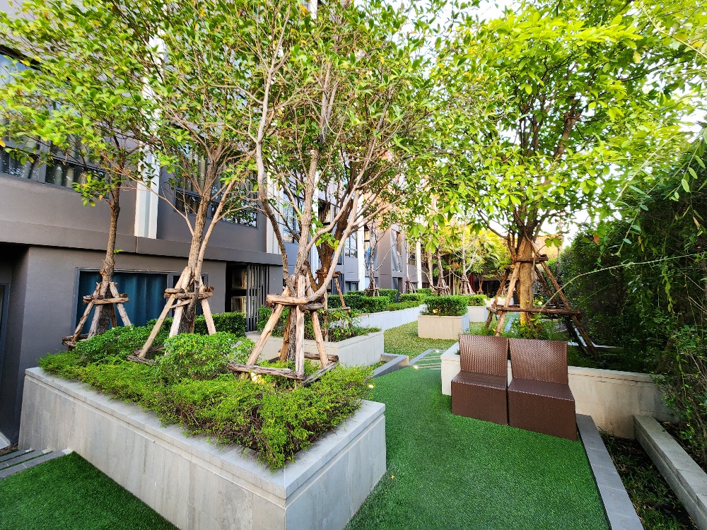 ให้เช่าคอนโดปิ่นเกล้า จรัญสนิทวงศ์ : สถานะตามภาพปกเลยครับผม **ห้องว่างครับผม แบบ1นอนที่กว้างที่สุด**ให้เช่าThe tree จรัญ30 **อาคาร B ห้องหายาก** ส่วนกลางหรู !!มีเครื่องซักผ้า SN494.3