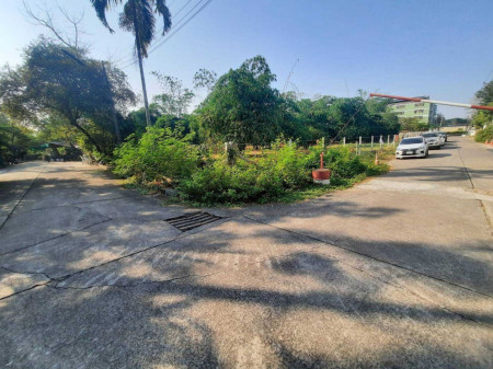 For SaleLandPathum Thani,Rangsit, Thammasat : Land in Pathum Thani, good location, near Rangsit University, area 4-2- 48 rai, corner plot, build an apartment Build a townhome