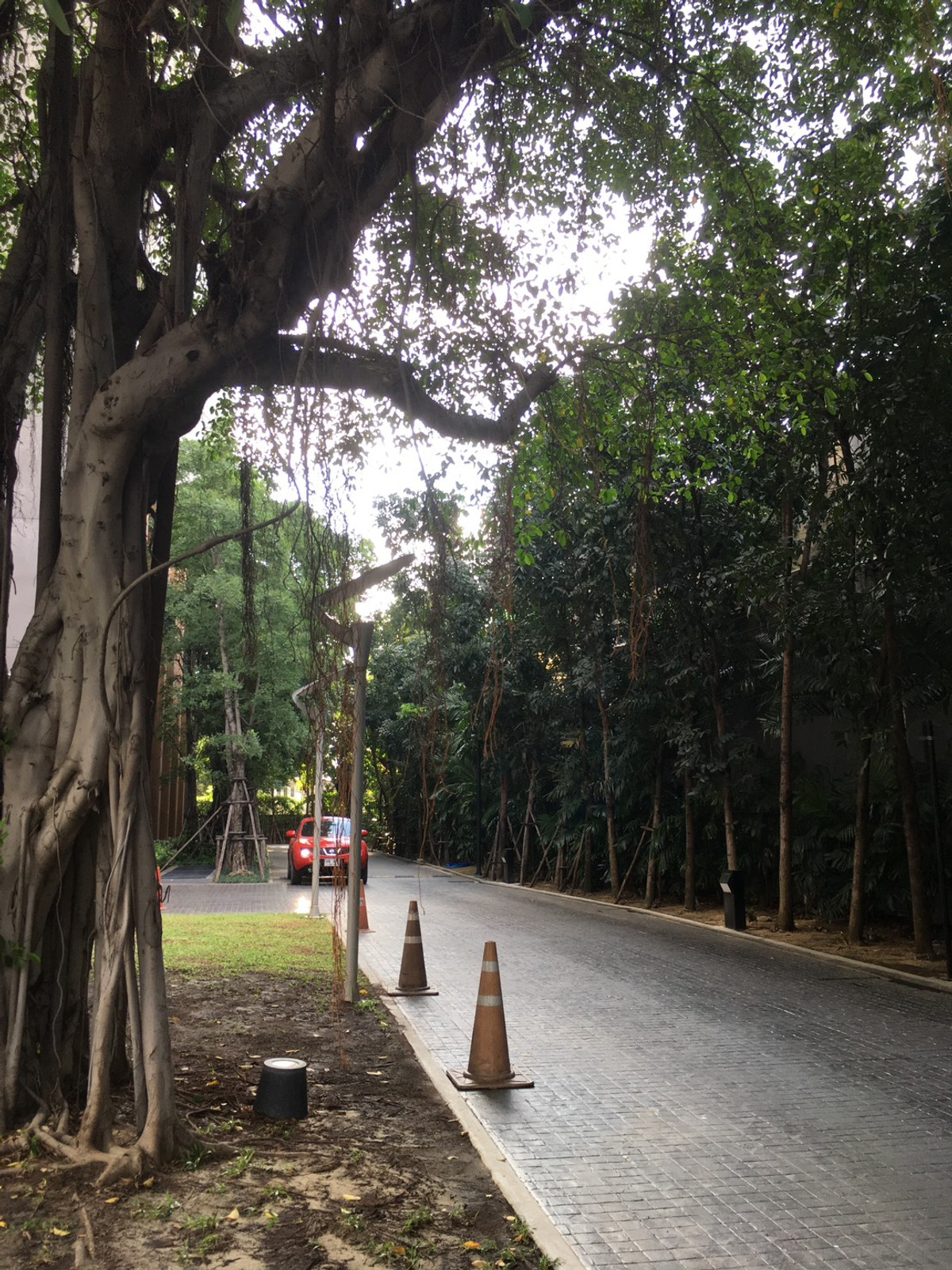 ขายคอนโดลาดพร้าว เซ็นทรัลลาดพร้าว : The Issara Ladprao / Studio (FOR SALE), ดิ อิสสระ ลาดพร้าว / ห้องสตูดิโอ (ขาย) PINP092