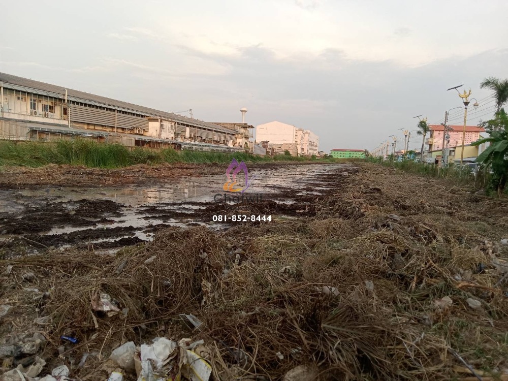 For RentLandSamut Prakan,Samrong : Land for rent Next to King Kaew Road, Bangna Trad, near Suvarnabhumi Airport