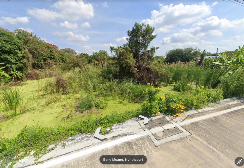 ขายที่ดินนนทบุรี บางใหญ่ บางบัวทอง : ขาย ที่ดิน ซอยบางโสน อ.บางใหญ่ นนทบุรี 3 ไร่ 1 งาน 82 ตร.วา หน้ากว้าง แปลงมุม ใกล้ ถ.บางใหญ่-บางคูลัด (ซอยกันตนา) และ ถ.กาญจนาภิเษก