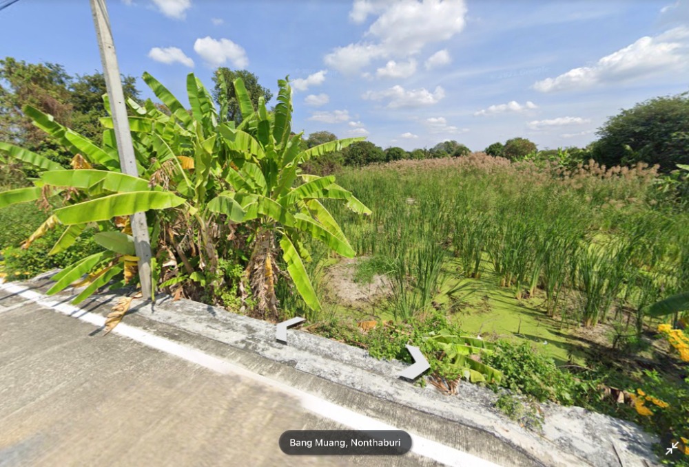 ขายที่ดินนนทบุรี บางใหญ่ บางบัวทอง : ขาย ที่ดิน ซอยบางโสน อ.บางใหญ่ นนทบุรี 3 ไร่ 1 งาน 82 ตร.วา หน้ากว้าง แปลงมุม ใกล้ ถ.บางใหญ่-บางคูลัด (ซอยกันตนา) และ ถ.กาญจนาภิเษก