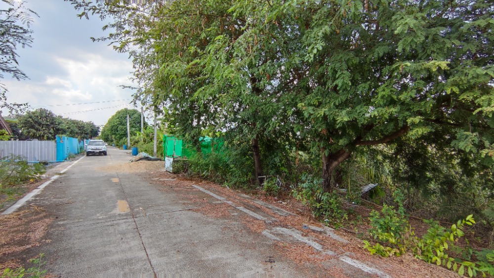 ขายที่ดินนนทบุรี บางใหญ่ บางบัวทอง : ขาย ที่ดิน ซอยบางโสน อ.บางใหญ่ นนทบุรี 3 ไร่ 1 งาน 82 ตร.วา หน้ากว้าง แปลงมุม ใกล้ ถ.บางใหญ่-บางคูลัด (ซอยกันตนา) และ ถ.กาญจนาภิเษก