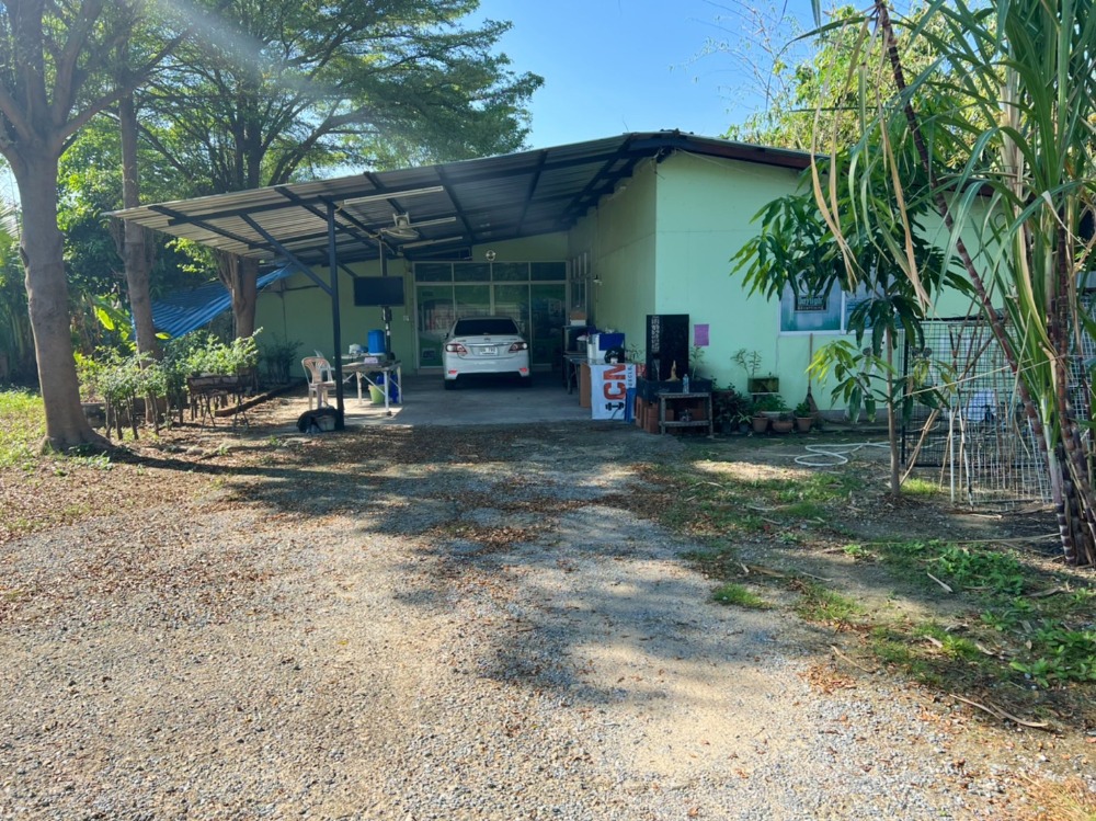 ขายที่ดินนนทบุรี บางใหญ่ บางบัวทอง : ขาย ที่ดิน ซอยงามวงศ์วาน 23 (ซอยวัดบัวขวัญ) นนทบุรี 199 ตร.วา หน้ากว้าง เดินทางสะดวก ห่าง ถ.งามวงศ์วาน เพียง 400 เมตร