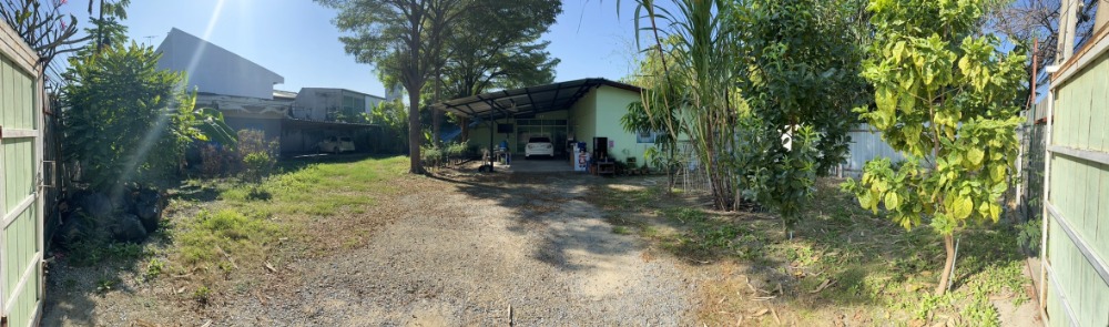 ขายที่ดินนนทบุรี บางใหญ่ บางบัวทอง : ขาย ที่ดิน ซอยงามวงศ์วาน 23 (ซอยวัดบัวขวัญ) นนทบุรี 199 ตร.วา หน้ากว้าง เดินทางสะดวก ห่าง ถ.งามวงศ์วาน เพียง 400 เมตร