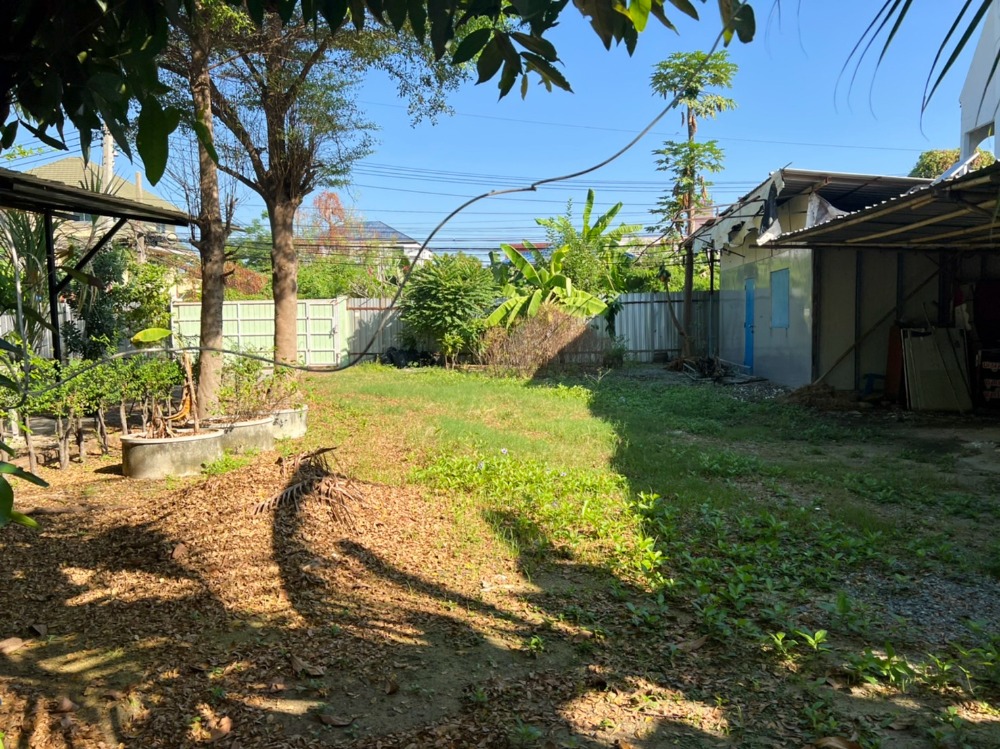 ขายที่ดินนนทบุรี บางใหญ่ บางบัวทอง : ขาย ที่ดิน ซอยงามวงศ์วาน 23 (ซอยวัดบัวขวัญ) นนทบุรี 199 ตร.วา หน้ากว้าง เดินทางสะดวก ห่าง ถ.งามวงศ์วาน เพียง 400 เมตร