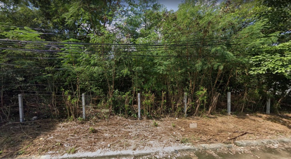 ขายที่ดินบางแค เพชรเกษม : ขาย ที่ดิน หมู่บ้านเรืองอนันต์ ซอยเพชรเกษม64 299 ตรว ติด MRT บางแค แปลงใหญ่สวย