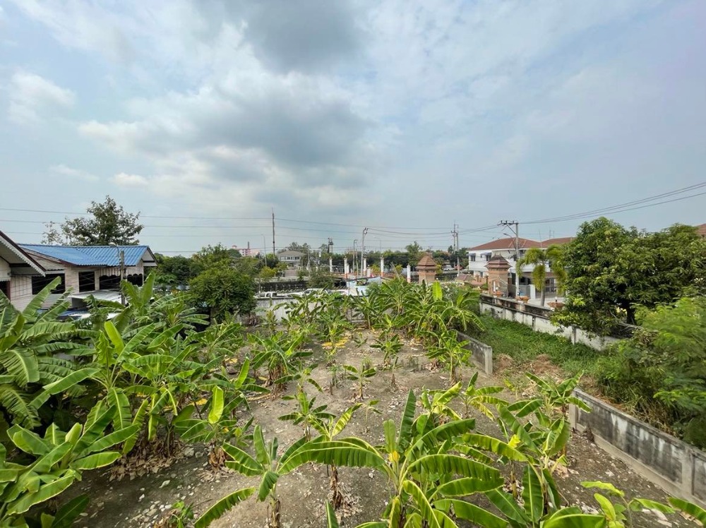 ขายที่ดินพุทธมณฑล ศาลายา : ขาย/ให้เช่าบ้านเดี่ยว 3 หลัง พร้อมที่ดิน  4 ไร่ 17 ตร.วา  ติด ม.มณฑล7  คลองทวีวัฒนา  หลักสอง  บางแค  กรุงเทพ