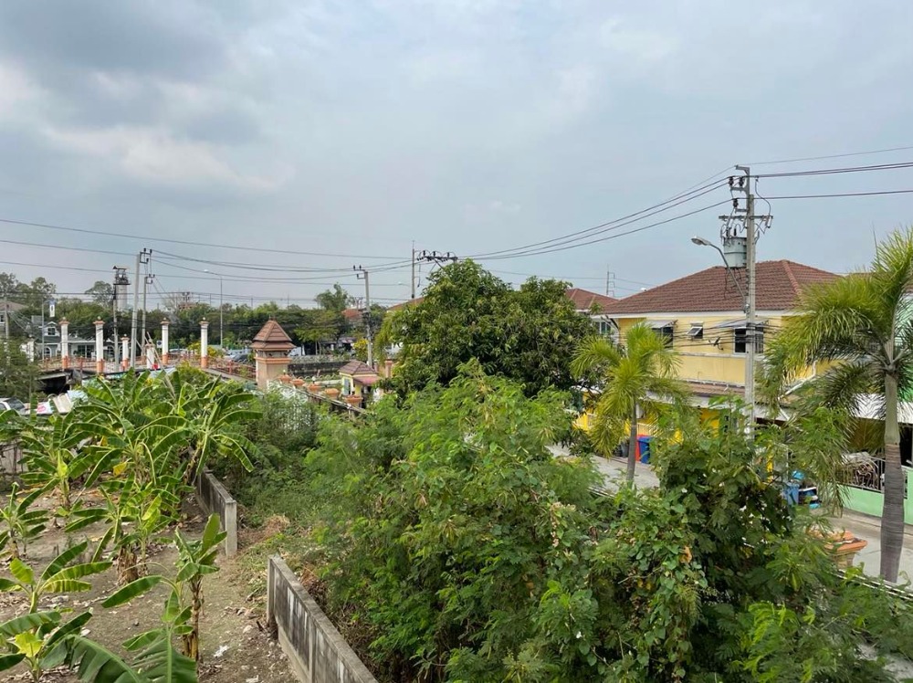 ขายที่ดินพุทธมณฑล ศาลายา : ขาย/ให้เช่าบ้านเดี่ยว 3 หลัง พร้อมที่ดิน  4 ไร่ 17 ตร.วา  ติด ม.มณฑล7  คลองทวีวัฒนา  หลักสอง  บางแค  กรุงเทพ