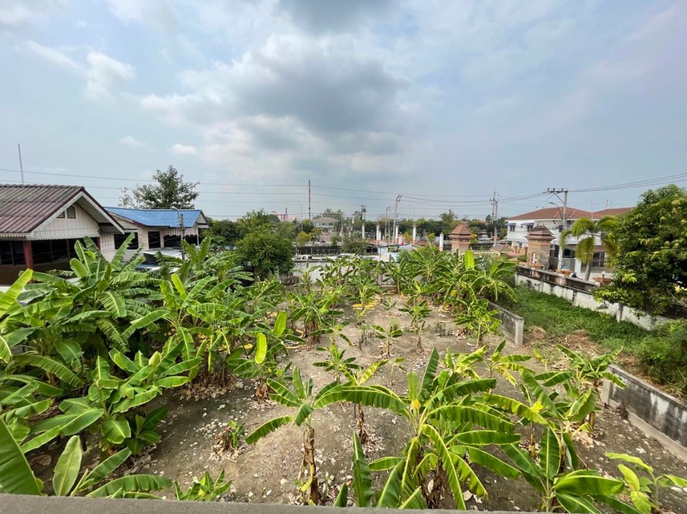 ขายที่ดินพุทธมณฑล ศาลายา : ขาย/ให้เช่าบ้านเดี่ยว 3 หลัง พร้อมที่ดิน  4 ไร่ 17 ตร.วา  ติด ม.มณฑล7  คลองทวีวัฒนา  หลักสอง  บางแค  กรุงเทพ