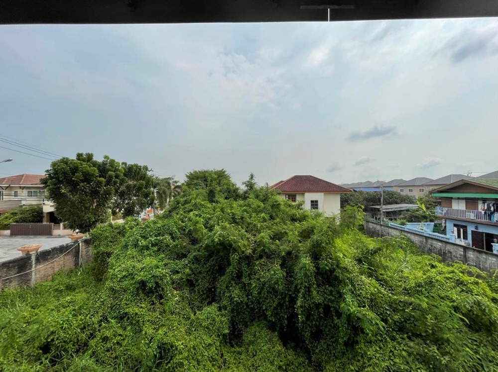 ขายที่ดินพุทธมณฑล ศาลายา : ขาย/ให้เช่าบ้านเดี่ยว 3 หลัง พร้อมที่ดิน  4 ไร่ 17 ตร.วา  ติด ม.มณฑล7  คลองทวีวัฒนา  หลักสอง  บางแค  กรุงเทพ