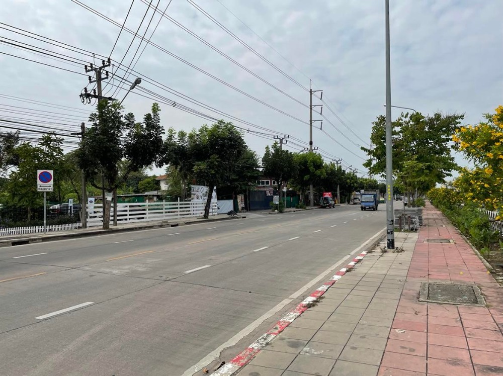 ขายที่ดินพุทธมณฑล ศาลายา : ขาย/ให้เช่าบ้านเดี่ยว 3 หลัง พร้อมที่ดิน  4 ไร่ 17 ตร.วา  ติด ม.มณฑล7  คลองทวีวัฒนา  หลักสอง  บางแค  กรุงเทพ