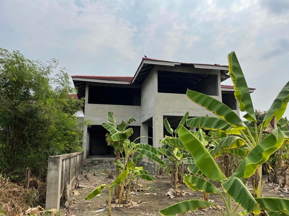 ขายที่ดินพุทธมณฑล ศาลายา : ขายบ้าน 3 หลังพร้อม ที่ดิน 4 ไร่ 17 ตารางวา  ติดหมู่บ้านมณฑล7   ถนนทวีวัฒนา  หลักสอง  บางแค  กรุงเทพ