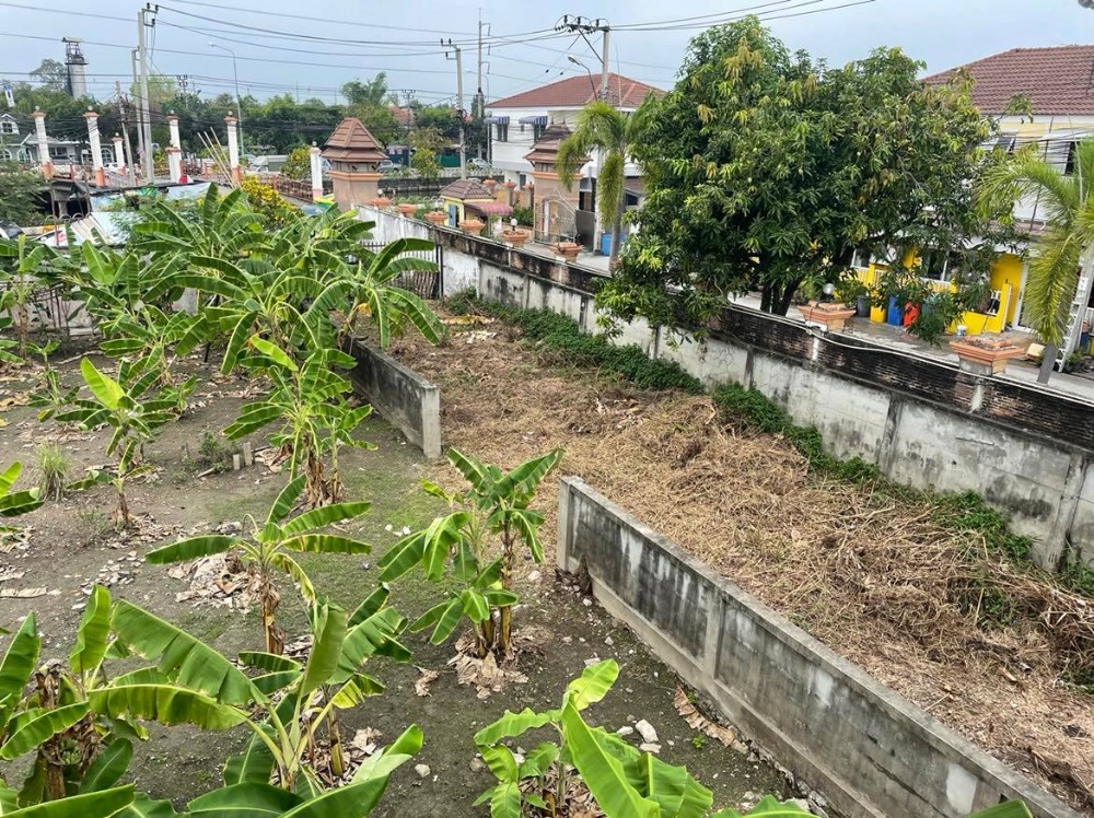 ขายที่ดินพุทธมณฑล ศาลายา : ขายบ้าน 3 หลังพร้อม ที่ดิน 4 ไร่ 17 ตารางวา  ติดหมู่บ้านมณฑล7   ถนนทวีวัฒนา  หลักสอง  บางแค  กรุงเทพ