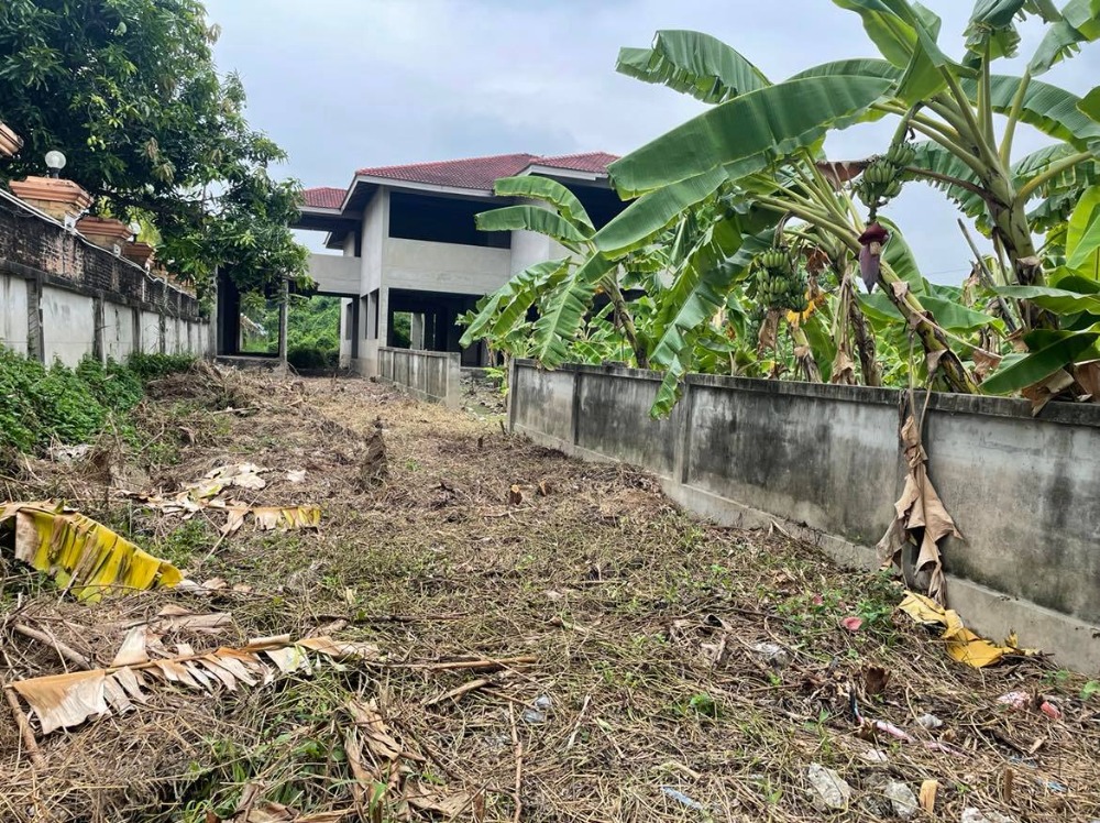 ขายที่ดินพุทธมณฑล ศาลายา : ขายบ้าน 3 หลังพร้อม ที่ดิน 4 ไร่ 17 ตารางวา  ติดหมู่บ้านมณฑล7   ถนนทวีวัฒนา  หลักสอง  บางแค  กรุงเทพ