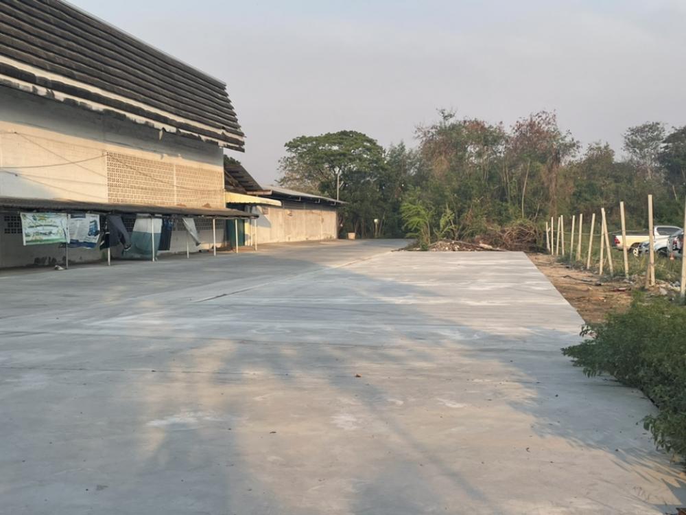 ให้เช่าที่ดินฉะเชิงเทรา : ที่ติดถนน ให้เช่า บางนา ตราด ที่ใกล้สนามบิน สุวรรณภูมิ ที่ใกล้ท่าเรือ แหลมฉบัง เดินทางสะดวก ใกล้นิคม