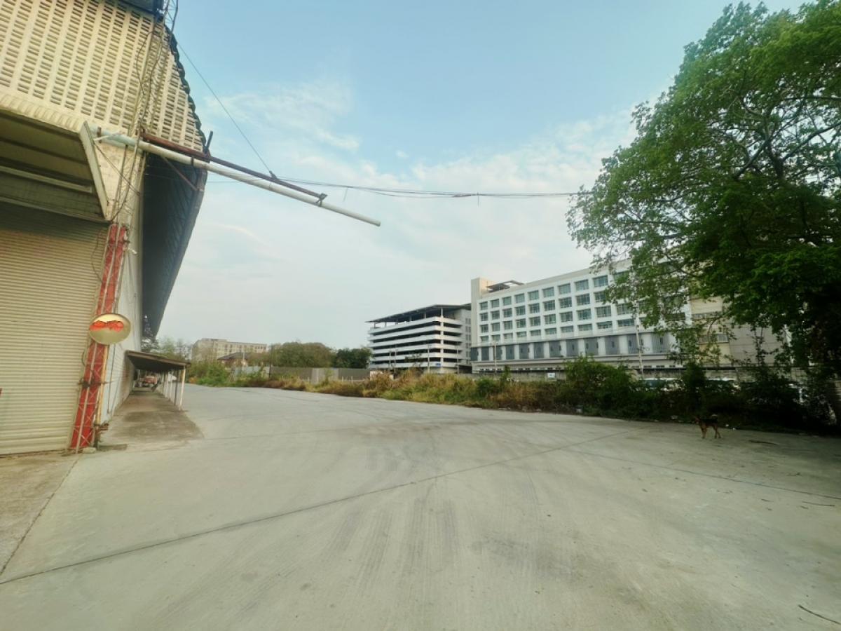 ให้เช่าที่ดินฉะเชิงเทรา : ที่ติดถนน ให้เช่า บางนา ตราด ที่ใกล้สนามบิน สุวรรณภูมิ ที่ใกล้ท่าเรือ แหลมฉบัง เดินทางสะดวก ใกล้นิคม