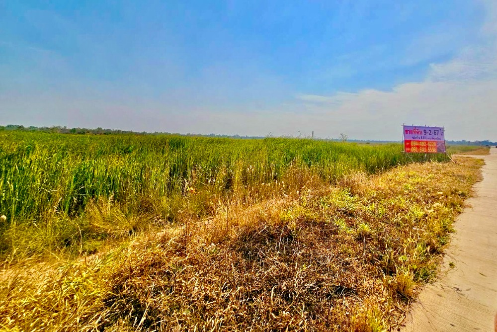 ขายที่ดินโคราช นครราชสีมา : ขาย ที่ดิน โคราช ทำเลทอง อนาคตไกล ริมทางหลวง ถนนวงแหวนรอบเมืองโคราช (290) ไร่ละ 1.8 ล้านบาท