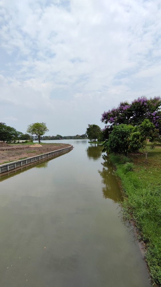 ขายที่ดินปทุมธานี รังสิต ธรรมศาสตร์ : ขาย ที่ดิน 282 ตร.วา หมู่บ้าน เดอะลากูน 1-2 สามโคก ปทุมธานี ทำเลสวย แปลงมุม ติดถนน 2 ด้าน และทะลสาบ