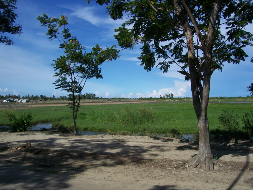 For SaleLandCha-am Phetchaburi : Land for sale 22 rai, Chao Samran Beach, suitable for allocating and farming. Phetchaburi Province.