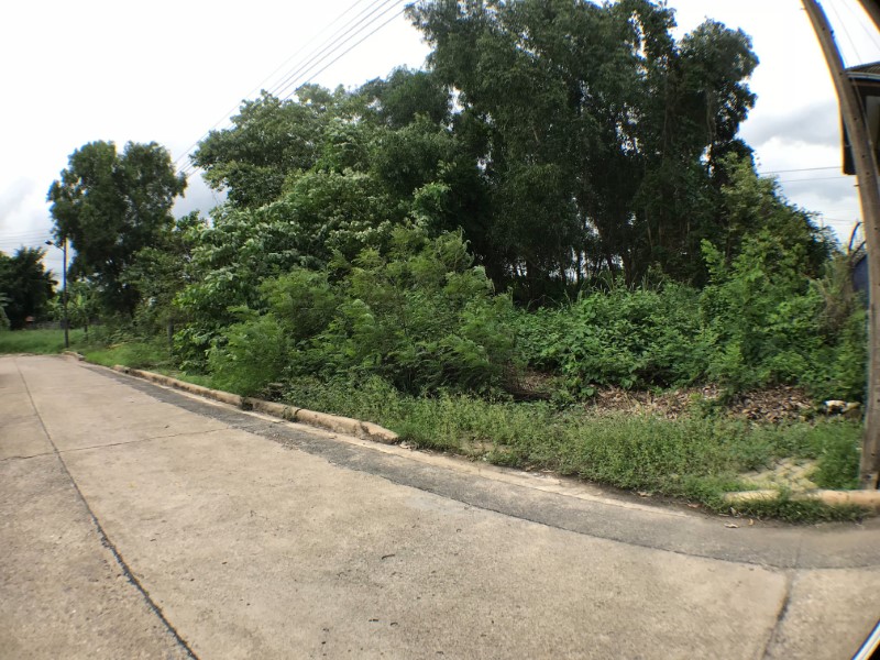 ขายที่ดินลาดกระบัง สุวรรณภูมิ : ขายที่ดิน 88 ตรว. หมู่บ้านศุภาลัย เลค 2 ต.ลำปลาทิว เขตลาดกระบัง กทม ใกล้ถนนสุวินทวงศ์