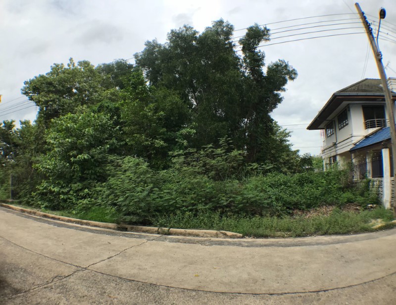 ขายที่ดินลาดกระบัง สุวรรณภูมิ : ขายที่ดิน 88 ตรว. หมู่บ้านศุภาลัย เลค 2 ต.ลำปลาทิว เขตลาดกระบัง กทม ใกล้ถนนสุวินทวงศ์