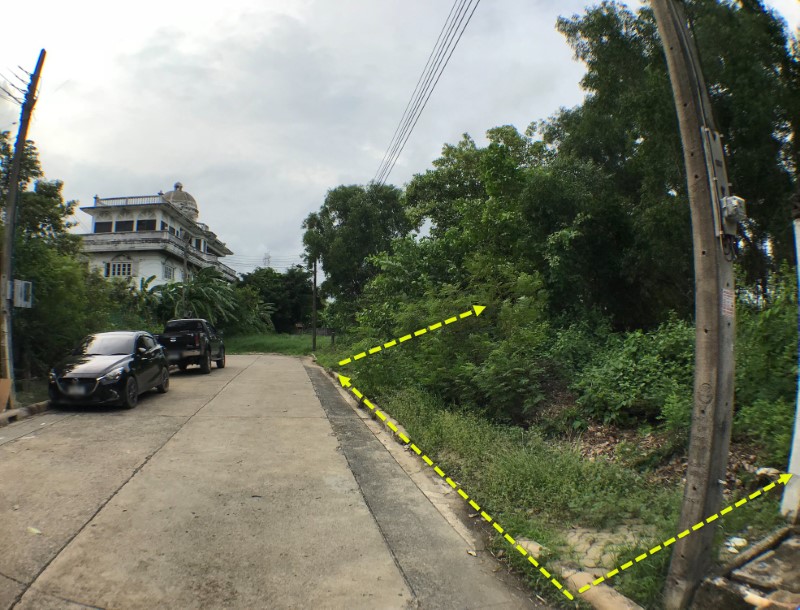 ขายที่ดินลาดกระบัง สุวรรณภูมิ : ขายที่ดิน 88 ตรว. หมู่บ้านศุภาลัย เลค 2 ต.ลำปลาทิว เขตลาดกระบัง กทม ใกล้ถนนสุวินทวงศ์