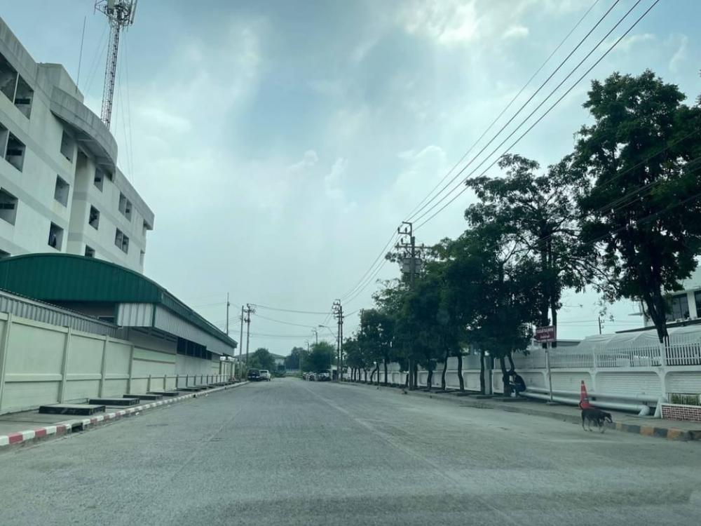 For SaleLandBangna, Bearing, Lasalle : For Sales Land 9Rais location Bangna KM.24 Suitable for making warehouse and office