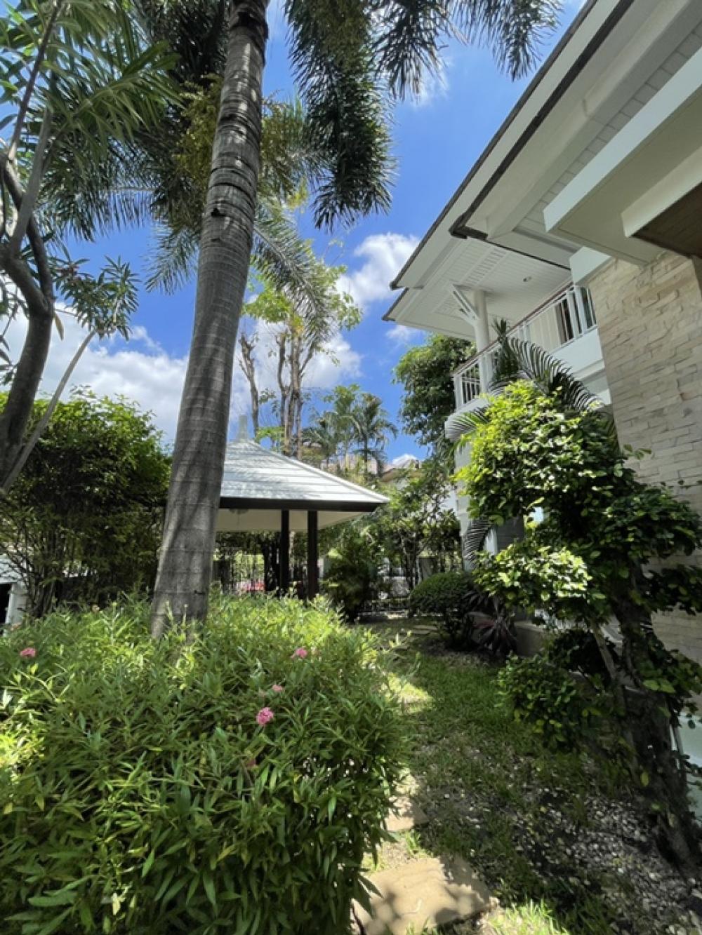 For RentHousePattanakan, Srinakarin : The big house is very shady. Special rental price‼️‼️ Narasiri Phatthanakan-Srinakarin ‼️ Shady, nice to live in, the front of the house faces north, not hot.