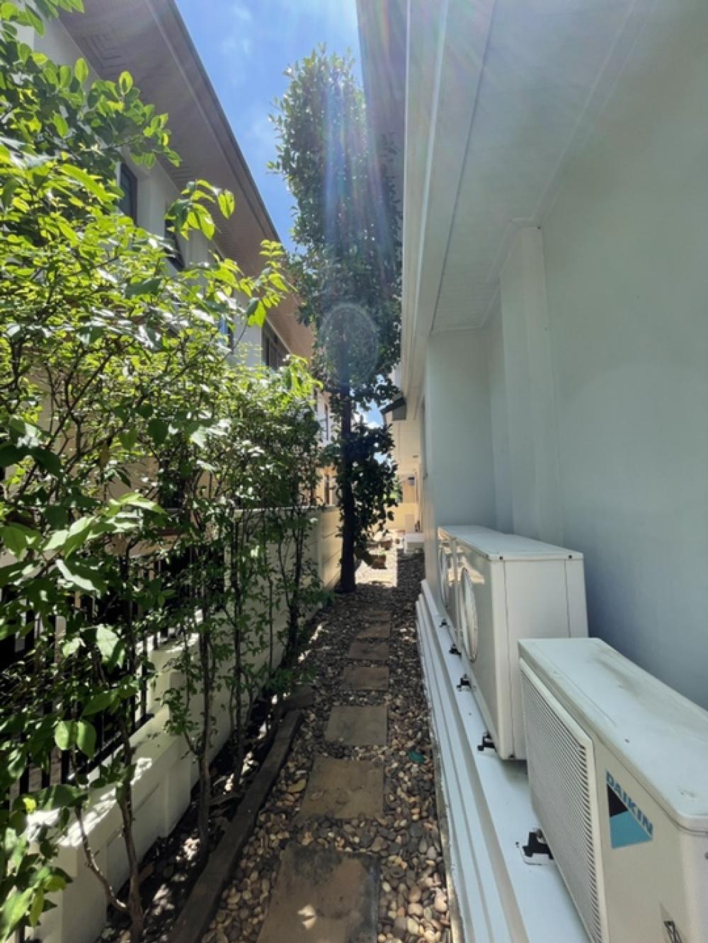 For RentHousePattanakan, Srinakarin : The big house is very shady. Special rental price‼️‼️ Narasiri Phatthanakan-Srinakarin ‼️ Shady, nice to live in, the front of the house faces north, not hot.