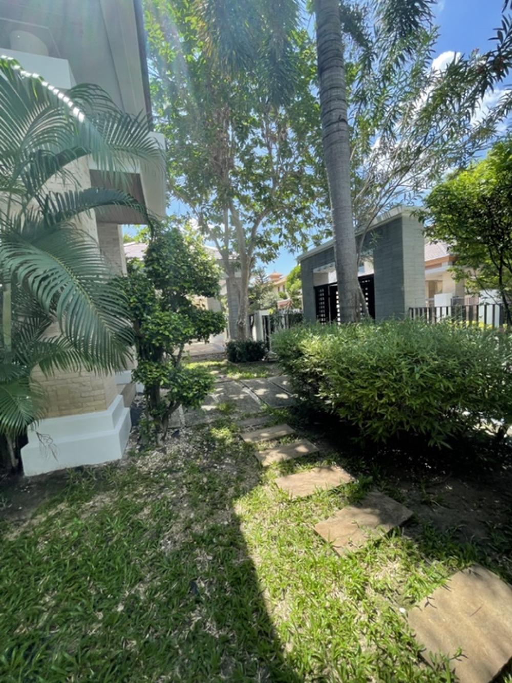 For RentHousePattanakan, Srinakarin : The big house is very shady. Special rental price‼️‼️ Narasiri Phatthanakan-Srinakarin ‼️ Shady, nice to live in, the front of the house faces north, not hot.