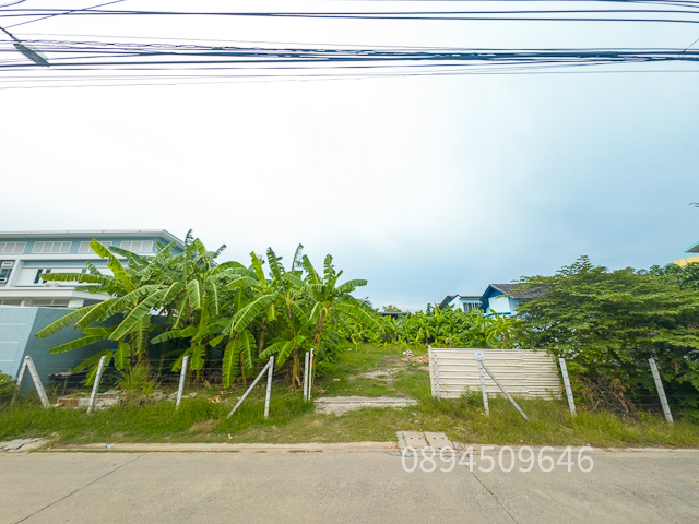 For SaleLandKaset Nawamin,Ladplakao : Land for sale, Sukonthasawat 14, size 200 sq m., width 25.5 meters, only 200 meters into the alley, good environment suitable for home planting