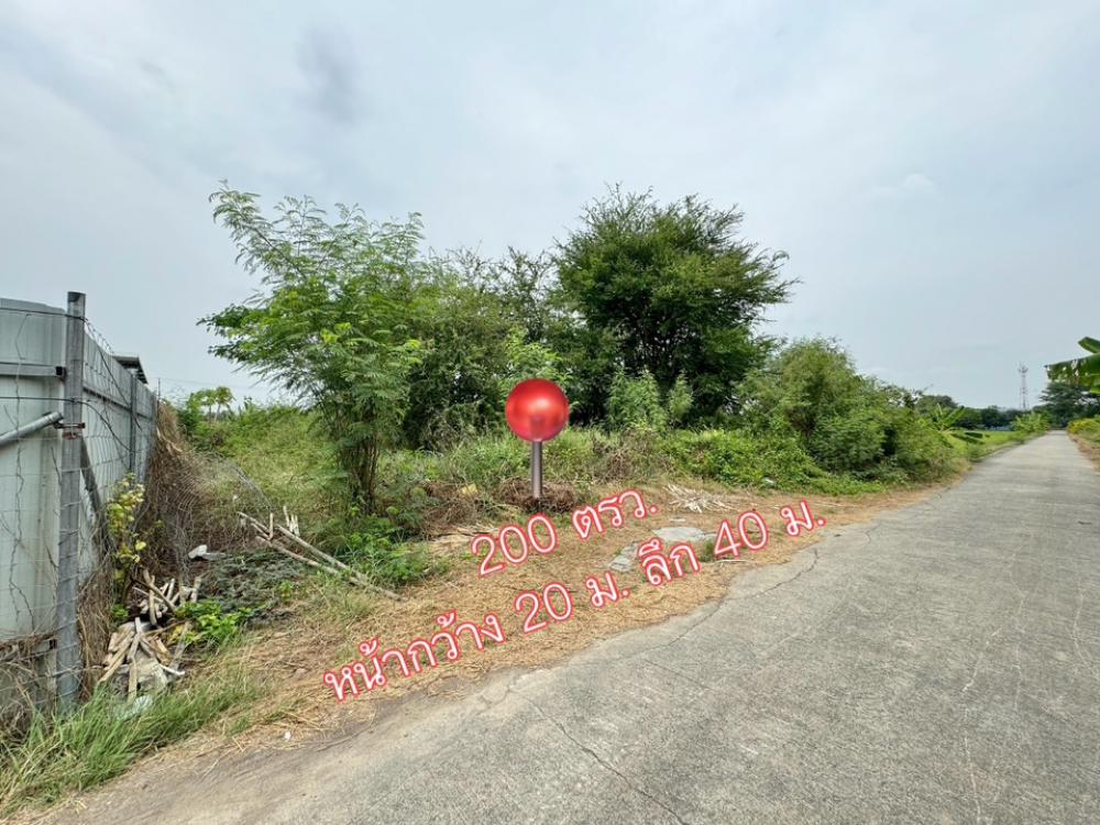 For SaleLandNonthaburi, Bang Yai, Bangbuathong : Land for sale, Baan Kluai-Sai Noi, Soi Nathong, 200 sq m., only 200 meters into the alley.