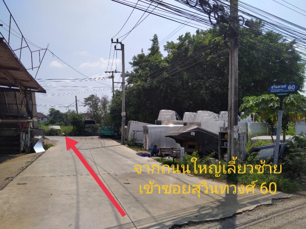 ขายที่ดินลาดกระบัง สุวรรณภูมิ : ขายที่ดินลาดกระบัง ใกล้แยกหนองจอก- สุวินทวงศ์ ขนาด 236 ตร.ว. ถนนคอนกรีต สาธารณูปโภคครบ