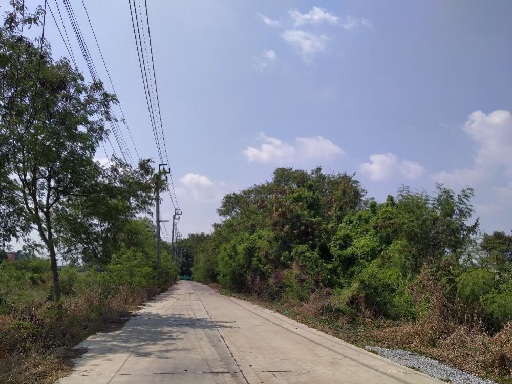 ขายที่ดินลาดกระบัง สุวรรณภูมิ : ขายที่ดินลาดกระบัง ใกล้แยกหนองจอก- สุวินทวงศ์ ขนาด 236 ตร.ว. ถนนคอนกรีต สาธารณูปโภคครบ