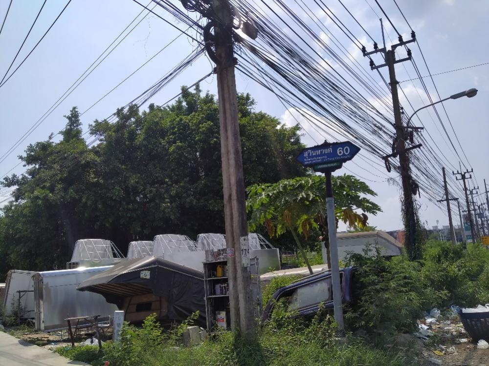 ขายที่ดินลาดกระบัง สุวรรณภูมิ : ขายที่ดินลาดกระบัง ใกล้แยกหนองจอก- สุวินทวงศ์ ขนาด 236 ตร.ว. ถนนคอนกรีต สาธารณูปโภคครบ